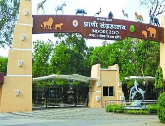 Kamla Nehru Prani Sangrahalaya, Indore, Indore, Madhya Pradesh - Vushii.com Kamla Nehru Prani Sangrahalaya, Indore, Indore, Madhya Pradesh - Vushii.com